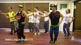 Beautiful Life by Sasha Lopez Zumba Fitness Live Love Party [upl. by Nadoj]