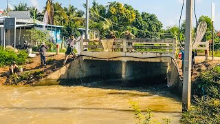 Amazing Real Life Fishing At Countryside  Cast Net Fishing 100 Of Village People [upl. by Otrebireh]