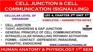 Cell Junction  Cell Communication  L4 Ch2 Unit 1  hap 1st semester b pharmacy  Carewell P [upl. by Hoashis]