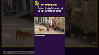 UP Bypolls 2024 Votingquotरिवॉल्वर से वोटर्स को धमका रहे SHOquot अखिलेश का आरोप।Quint Hindi [upl. by Hart]