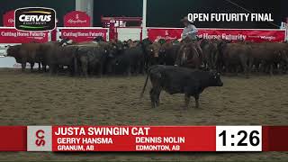 2018 Cutting Horse Futurity  Just a Swingin Cat Champion Open Futurity [upl. by Nenney]