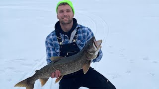 Big lake trout Gunflint Trail MN [upl. by Meehaf]