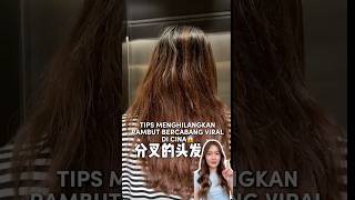 Tips menghilangkan rambut bercabang viral di cina😱 [upl. by Alistair663]