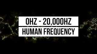 0Hz22kHz  Line Animation Reacting To Sound Frequencies [upl. by Aiynat]