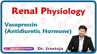 Vasopressin Antidiuretic Hormone  Renal physiology USMLE Step 1 [upl. by Tartaglia]