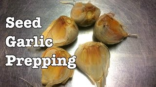 Seed Garlic  Prepping for Planting [upl. by Samale]