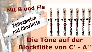 Die Töne und Griffe C  A auf der Blockflöte  Glücklich mit Musik  Blockflöte Griffe [upl. by Madelyn]