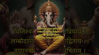 Powerful Ganesh Mantras And Their Meaning ganeshchaturthi ganpati ganesha [upl. by Jem]