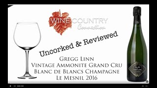 Uncorked amp Reviewed  Greg Linn Ammonite Champagne Le Mesnil 2016 by Master Sommelier Kevin M Vogt [upl. by Esojnauj]