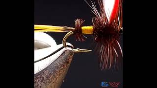 Inspired Dry  Royal  Parmachene  Wulff fly pattern  Show case fly tying short flytying [upl. by Ris]