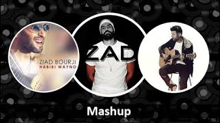 Fady Shewaya  فاضي شوية  Habibi Wayno  حبيبي وينو ZAD 2021 Mashup [upl. by Noteloc98]