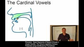 PHO107  Basic Segments of Speech Vowels I [upl. by Ardnaeel]