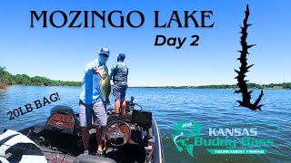 Mozingo Lake  Day 2  Kansas Buddy Bass 2024 [upl. by Adnorat102]