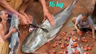 Gooch Fish Cutting  Fish Cutting Skills Nepal [upl. by Yolande170]