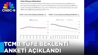 Merkez Bankası Yıl Sonu Tüketici Fiyat Endeksi Anketi Açıklandı [upl. by Teeniv716]