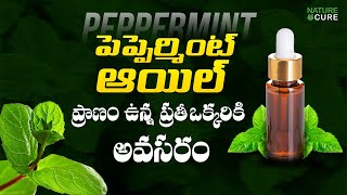 ప్రాణం ఉన్న ప్రతీ ఒక్కరికీ ఇది అవసరం  Must to Use Peppermint Oil in Daily Life Style  Nature Cure [upl. by Bree]