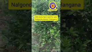 250 Acres farm land sale  Telangana  nalgonda district [upl. by Iem]