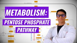 Pentose Phosphate Pathway Ninja Nerd Synthesis [upl. by Eyk]