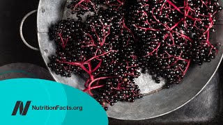 Elderberry Benefits and Side Effects Does It Help with Colds and the Flu [upl. by Atiuqrahc]