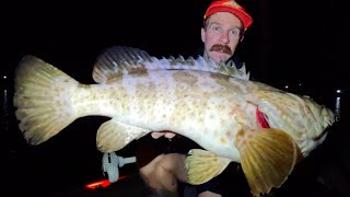 Gold Coast STORM FISHING [upl. by Yelekalb]