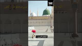 بیان مولانا طارق جمیل trending islamicvideo shrots [upl. by Goldwin]