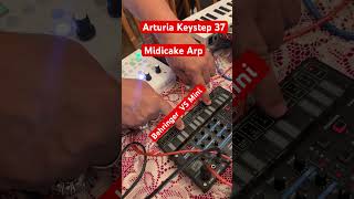 Midicake Arp￼ Behringer Pro VS Mini Arturia Keystep 37 Jam behringer keystep midicake [upl. by Annahs807]