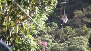 Canopy Tour Monteverde Costa Rica [upl. by Kelby]