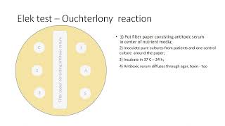 Ouchterlony reaction [upl. by Jordain]