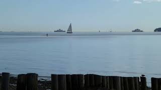 Isle of Wight Ferries as seen from Lepe Beach [upl. by Halihs163]