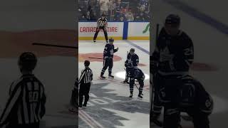 Toronto Maple Leafs goal horn live TorontoMapleLeafs torontomapleleafs leafsforever nhl goals [upl. by Retrop]