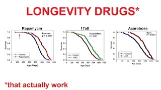 Longevity Drugs That May Actually Work [upl. by Slayton]