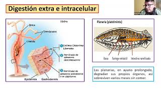 BIOLOGIA  SEMESTRAL INTENSIVO  SEMANA 5  12 [upl. by Abernon]