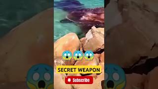 Whales Secret Weapon 😱😱 shorts viralvideo fyp for you [upl. by Ailegnave]