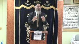 Rabbi Label Lam on quotThe Hidden World in Which we Livequot [upl. by Dulcy]