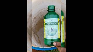 Phosphate solubilizing bacteria iplfert phospahte organicfarming tamilagriculture [upl. by Alrich]