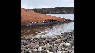 SS Charcot Whaling Shipwreck in Conception Harbour Newfoundland and Labrador Canada 🇨🇦 [upl. by Llewop]