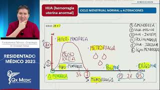 5 Hemorragia uterina anormal [upl. by Bergstrom]