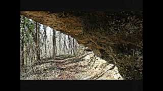 IL PARCO DEL PIAVE A BIGOLINO DI VALDOBBIADENE TVwmv [upl. by Eeimaj]