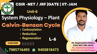 CalvinBenson Cycle  Carboxylation Reduction amp Regeneration  Plant Physiologygenesisinstitute [upl. by Gnoh]