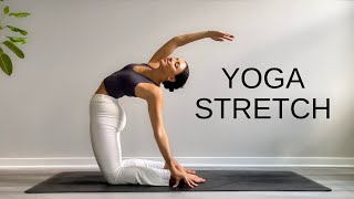 15 Minute Yoga Stretch Break  Open Your Body amp Feel Amazing [upl. by Natiha]