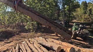 Running Buck Saw on Log Yard but Moving to New Job Soon [upl. by Llehcear736]