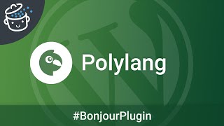 Polylang le plugin multilingue pour votre site WordPress  🔌 Bonjour Plugin 12 [upl. by Aroved]