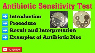 antibiotic sensitivity test  antimicrobial susceptibility test procedure  Kirby Bauer method [upl. by Annoled593]