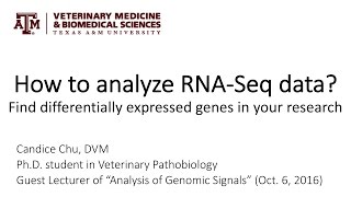 How to analyze RNASeq data Find differentially expressed genes in your research [upl. by Crain]