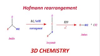 Hofmann rearrangement  rearrangement to electron deficient nitrogen  reaction mechanism [upl. by Ylellan]