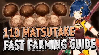 Matsutake 110 Locations FAST FARMING ROUTE  Genshin Impact 25 [upl. by Asina148]