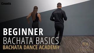 Bachata Beginner Basic Steps Tutorial  Demetrio amp Nicole  Bachata Dance Academy [upl. by Iridissa]