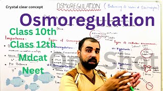 Osmoregulation  Hypotonic  hypertonic  isotonic 12th  mdcat  oneshot  ​GoldenEraScience [upl. by Yrek]