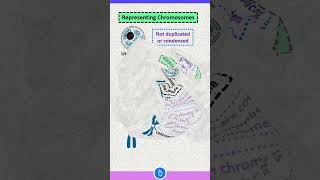 Definition of Chromatin Chromosome and Chromatid [upl. by Haven]