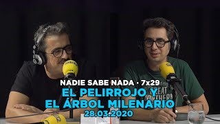 NADIE SABE NADA 7x29  El pelirrojo y el árbol milenario [upl. by Niatsirt135]